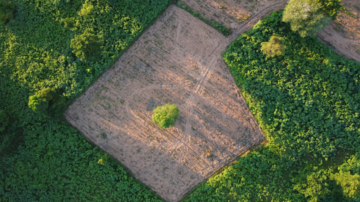 Lot Survey/Plot Plan